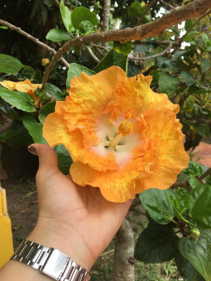 Pensión Bella Geriba
